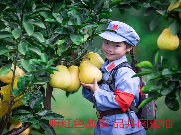 果園環(huán)境